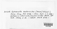 Sphaerella septorioides image